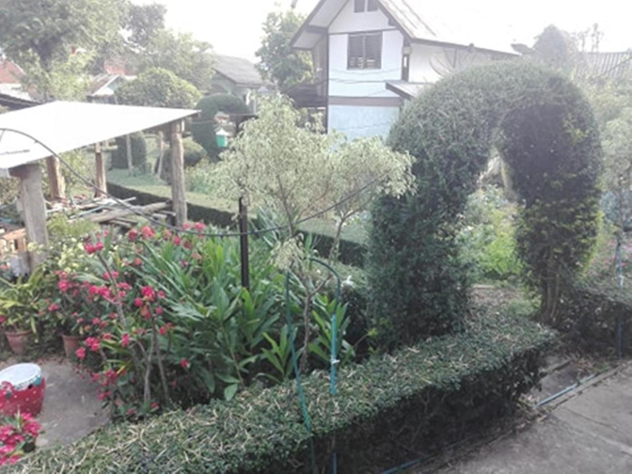 Mr Jan Guesthouse Pai Zewnętrze zdjęcie